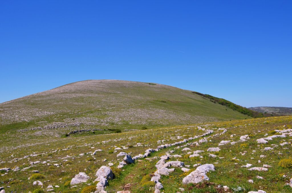 Monte Calvo Gargano. A wide view of the rocky, rounded peak of Monte Calvo in Gargano under a clear blue sky. A narrow dirt path winds through a field of scattered white limestone rocks and sparse green grass with yellow flowers in the foreground.