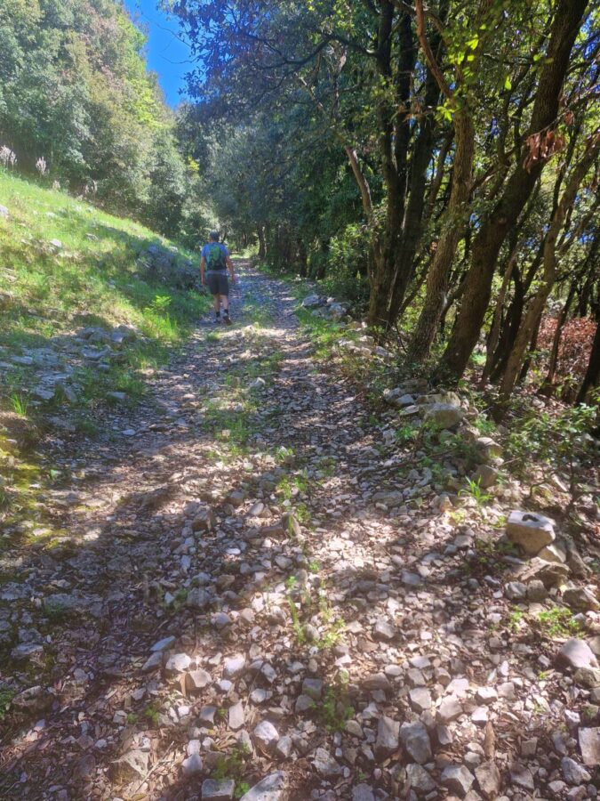 Półwysep Gargano. A hiker walks away on a wide, uneven trail covered in loose limestone rocks and stones. The path is bordered by a grassy slope on the left and a dense line of trees on the right, with dappled sunlight filtering through the leaves onto the rocky ground.