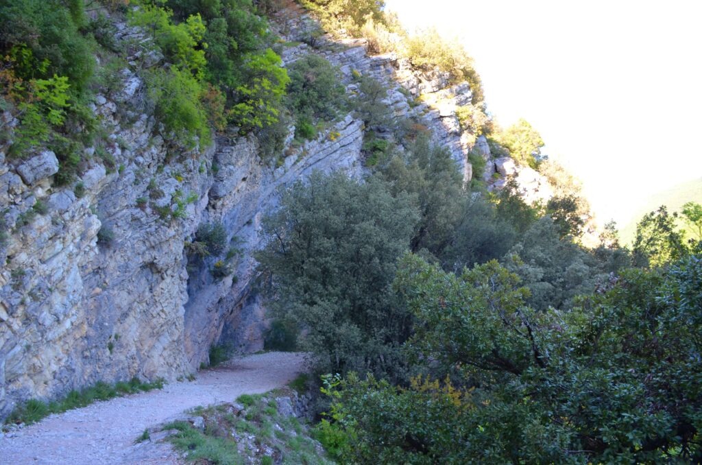 A gravel hiking path winds alongside a tall, layered limestone rock wall partially covered with green shrubs and trees, with the trail leading into a shaded area of the forest.