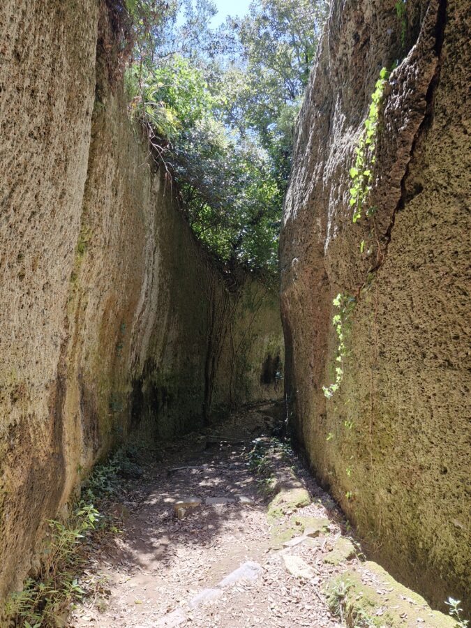 An ancient, moss-covered medieval stone wall standing deep within a dense, green forest with lush trees and ferns on the Cammino dei Tre Villaggi trail.