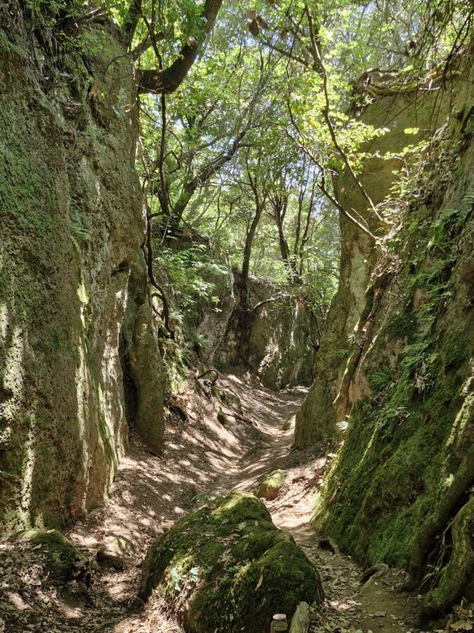 A deep, shaded canyon path on the Cammino dei Tre Villaggi trail, flanked by high, moss-covered tufa rock walls and overgrown with dense green forest trees.