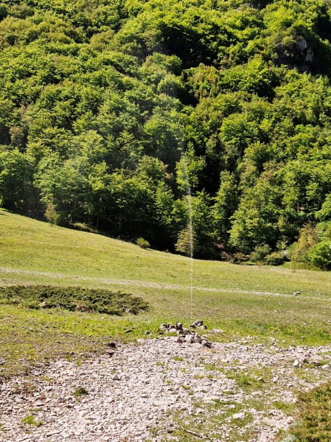 A tall, narrow stream of water spraying high into the air from a small stone fountain in a grassy meadow. A dense green forest covers the steep hillside in the background, with a gravelly patch of ground in the foreground.