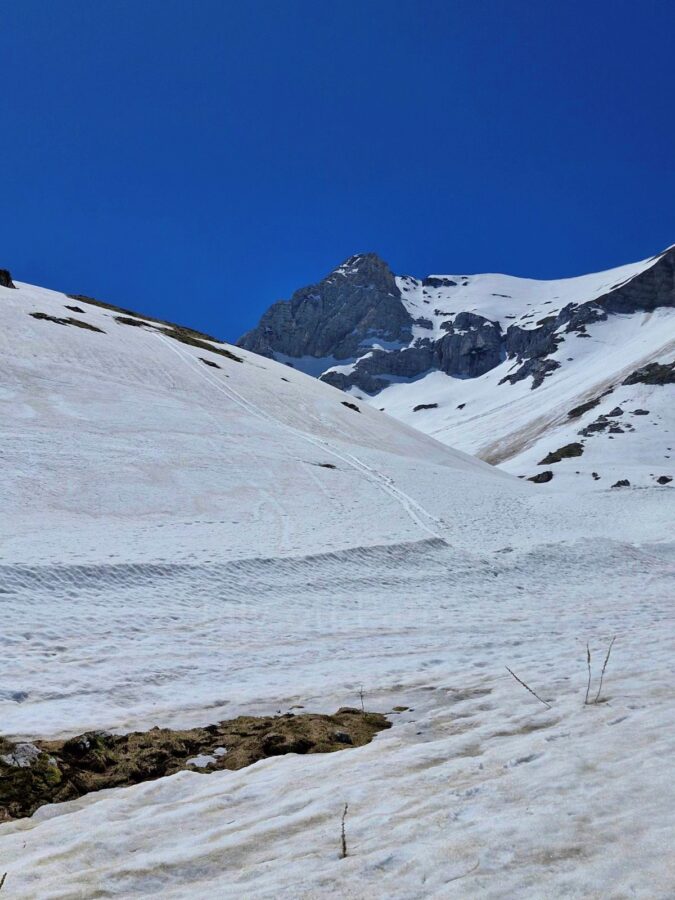 A wide mountain slope covered heavily in deep, melting white snow under a solid blue sky. A faint, narrow trail of footsteps marks the snowy hillside, leading toward a rugged, rocky mountain peak in the background