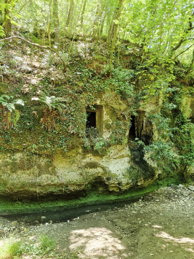 Two rectangular openings of ancient Etruscan tombs carved side-by-side into a mossy, ivy-covered tufa rock face above a small stream bed in a dense forest.