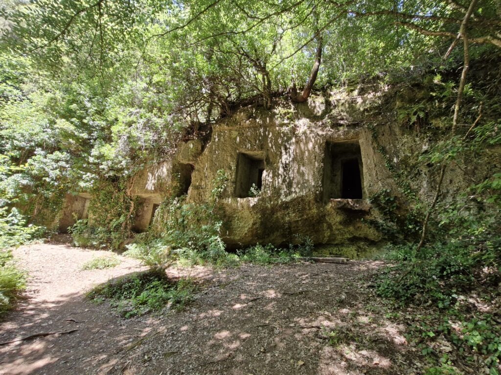 Hikse near Rome. Several ancient rectangular rock-cut tomb openings positioned in a row along a massive stone wall surrounded by overgrown trees and forest foliage.