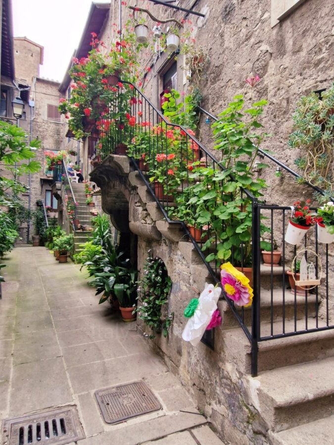 A narrow stone alleyway lined with historic houses features a stone staircase heavily decorated with green plants and bright red geranium flowers. Large paper flower decorations hang from the black metal handrail, and more potted plants line the walkway and additional steps further down the path.