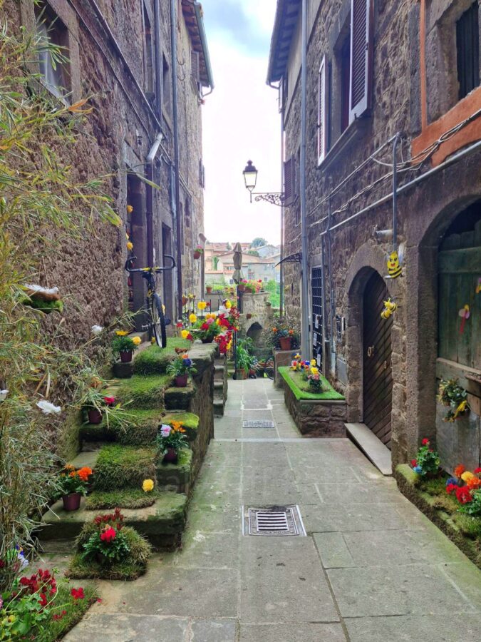 A narrow, stone-paved street between old stone residential buildings is decorated for a festival. On the left, stone steps leading up to a doorway are covered in patches of green grass and dotted with small, colorful potted flowers. A bicycle stands parked on the landing above the steps, and bright floral displays and small bee decorations line the alleyway leading toward an open view in the background.