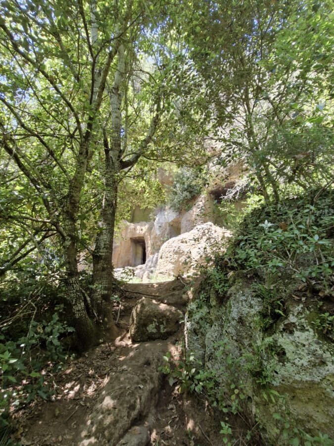 A forested dirt hiking trail leading up toward a rocky hillside where multiple Etruscan tomb entrances are visible through the thick green canopy of trees.