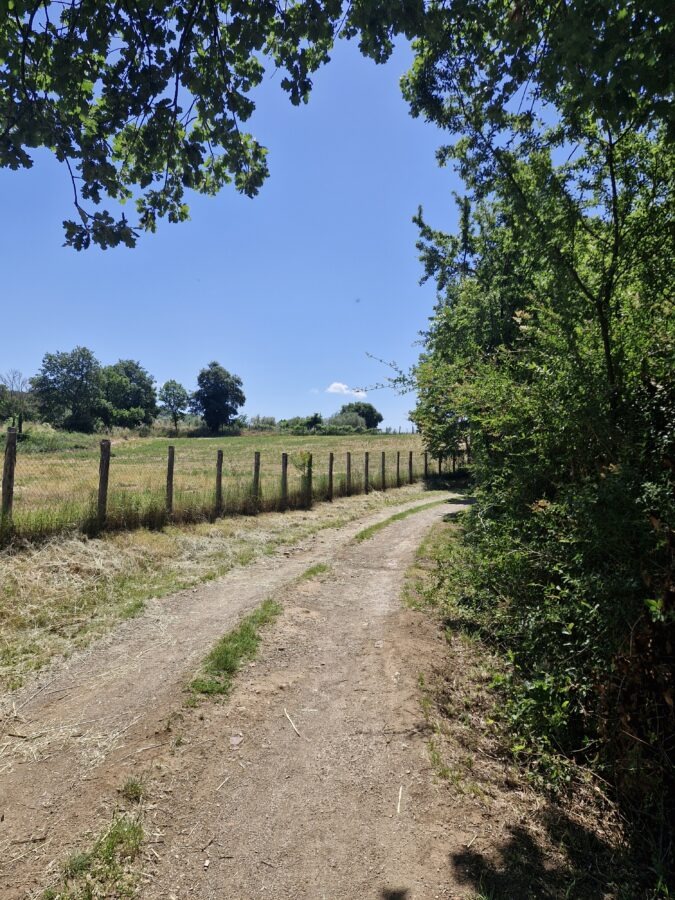 A dirt path running alongside a fenced grassy field with green trees, bushes, and a clear blue sky on the Cammino dei Tre Villaggi trail in Lazio, Italy.