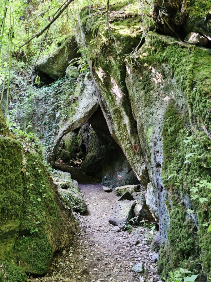 A narrow, steep dirt hiking path descending into a dense green forest on the section toward Blera, with sunlight filtering through a thick canopy of tree branches.