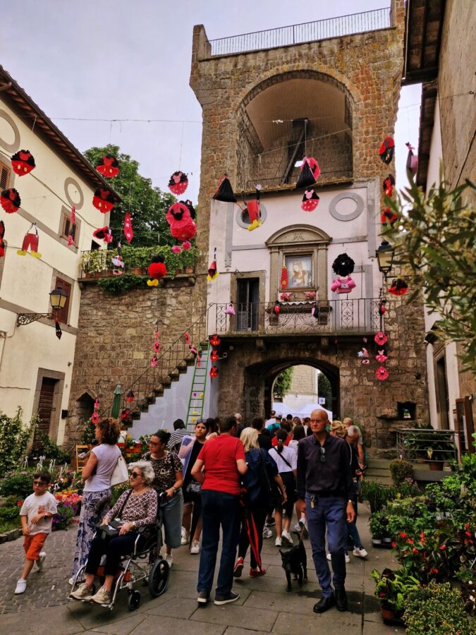 local festivals in Italy.A crowd of people walking through a narrow historic stone street toward an ancient stone archway tower during the Peperino in Fiore festival. Red and black cartoon-themed paper decorations hang from overhead wires and across the tower facade. In the foreground, an elderly woman sits in a wheelchair and a man walks a small black dog on a leash.