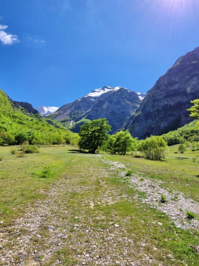 A wide, grassy plateau with a rocky trail leading toward a large, solitary green tree. Massive rocky mountains with snow-covered peaks rise sharply under a clear blue sky with a slight sun flare at the top right.