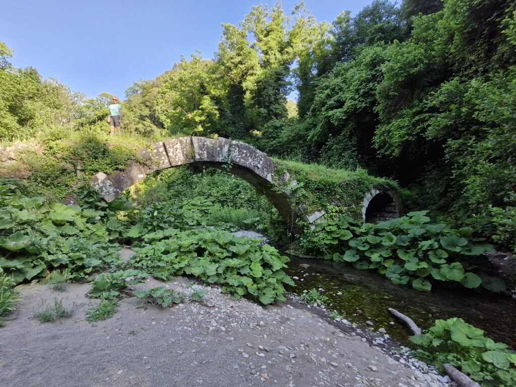 An ancient, narrow Roman stone arch bridge spanning across a shallow rocky riverbed surrounded by dense green forest foliage near Blera.