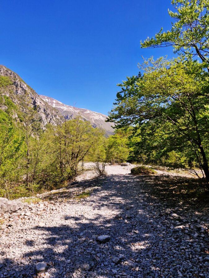 A stone water fountain and a long concrete trough sit next to a gravel path in a wide valley. Bright green, grassy hills rise up toward distant mountain peaks covered in patches of snow under a clear blue sky. A hiker with a backpack walks away along the trail on the rig