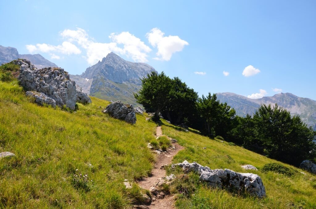 Narrow hiking Corno Grande path winding along a grassy hillside next to a small wood with the rocky peaks of Gran Sasso, Abruzzo, Italy in the background