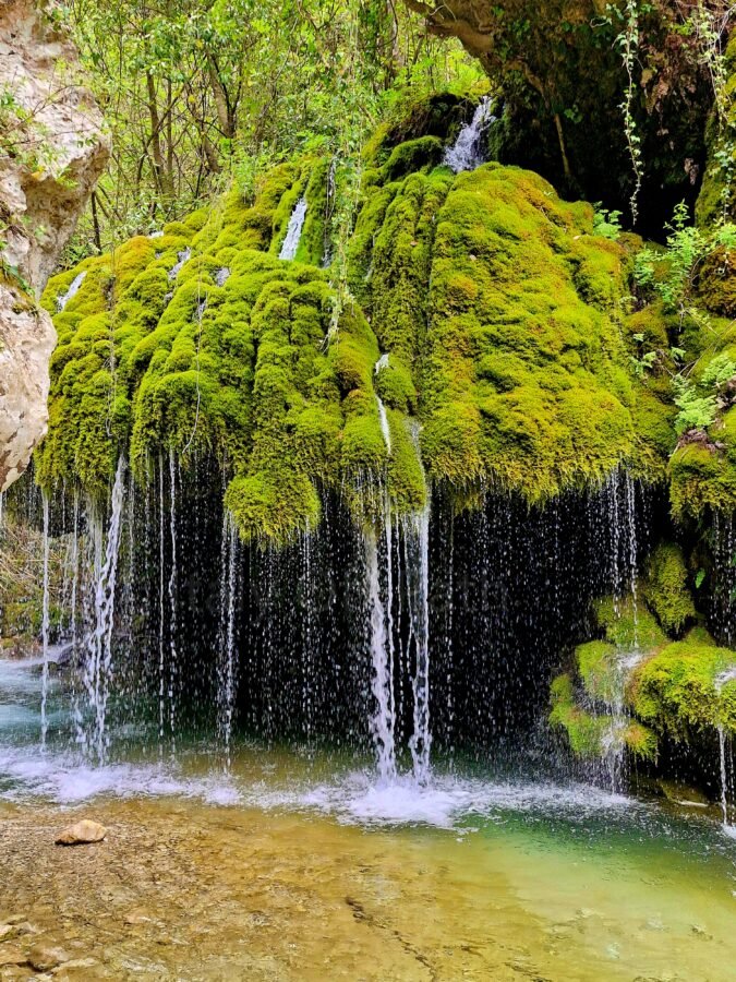 Curtain of water flowing from a large mossy rock formation into a shallow pool at Capelli di Venere waterfall, Campania.