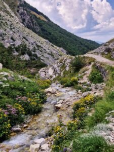 Rio Arno river flowing through a rocky mountain valley with wildflowers and an easy hike in Gran Sasso in Abruzzo, Italy