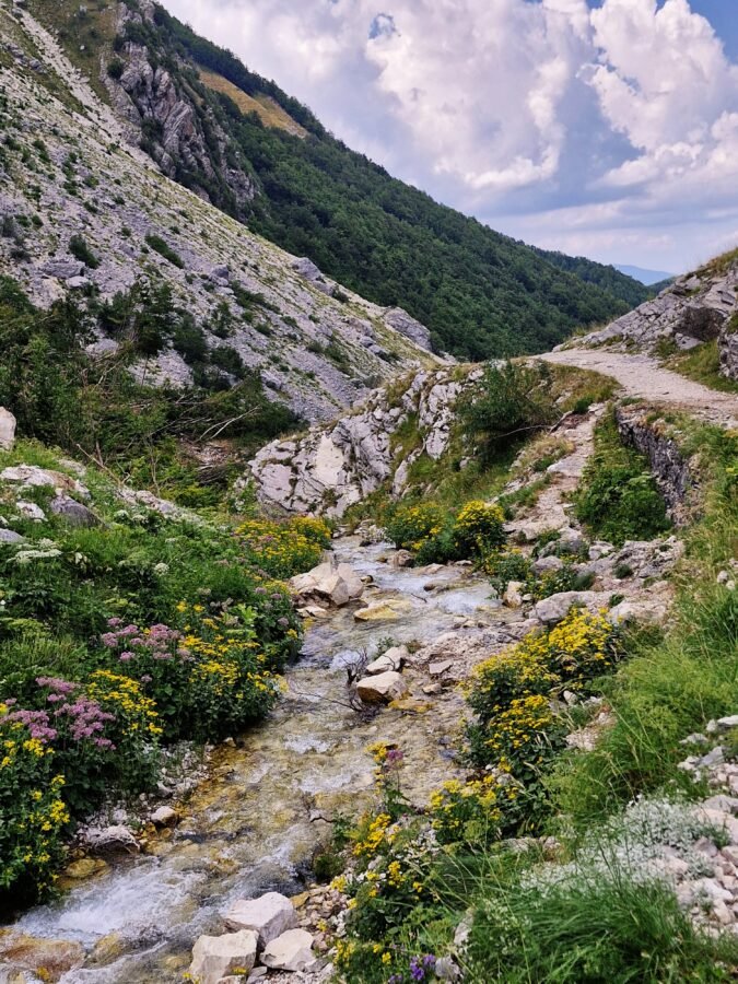 Rio Arno river flowing through a rocky mountain valley with wildflowers and an easy hike in Gran Sasso in Abruzzo, Italy