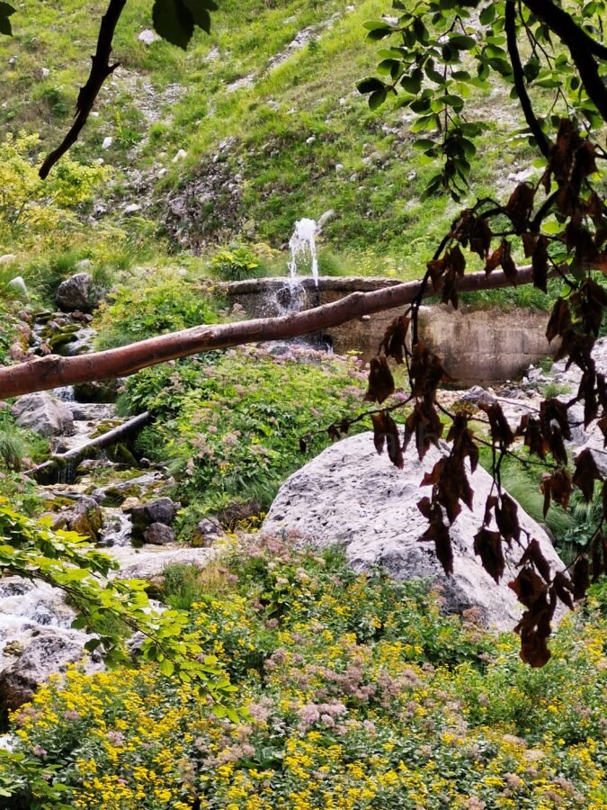 Mountain spring water spurting from stone structure along Rio Arno stream surrounded by wildflowers near Prati di Tivo in Abruzzo, Italy