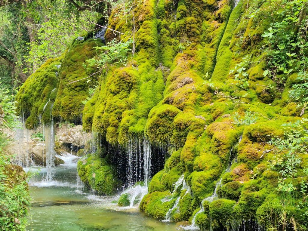 Water trickling down thick moss-covered rock ledges into the river at Capelli di Venere, Casaletto Spartano.