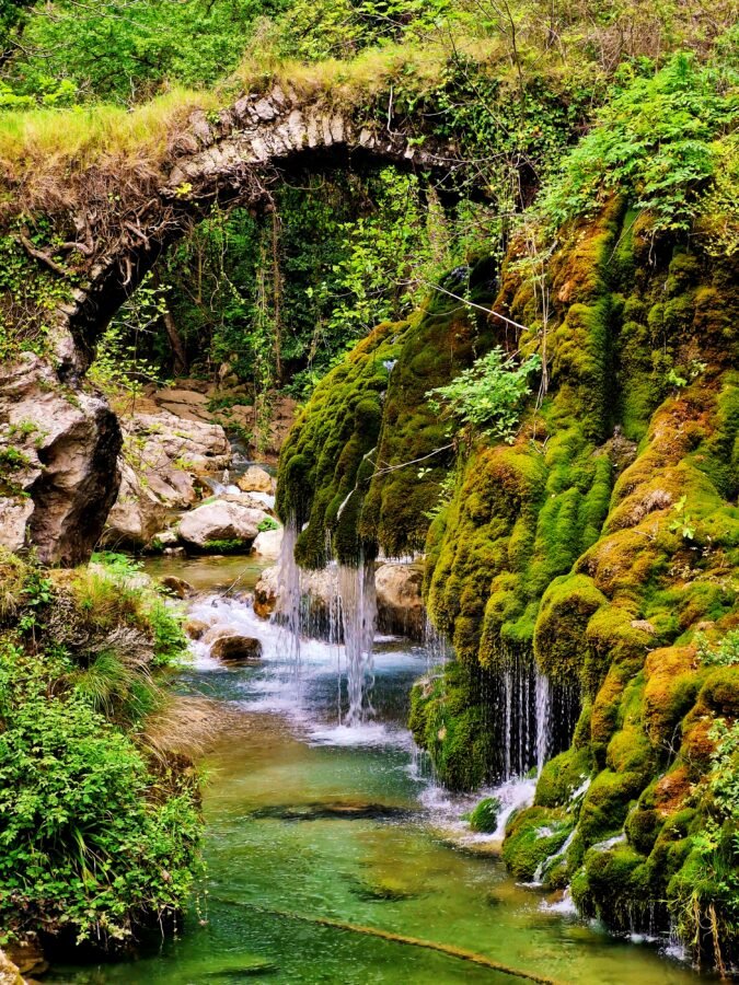 Capelli di Venere. Casaletto Spartano, Cilento National Park (Campania)