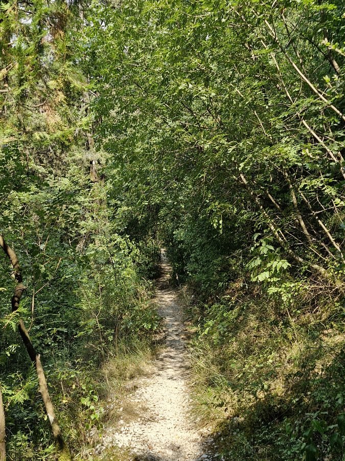 Narrow, shaded dirt hiking trail enclosed by dense green trees and vegetation leading to Rocca Albornoz above Lake Piediluco, Umbria.