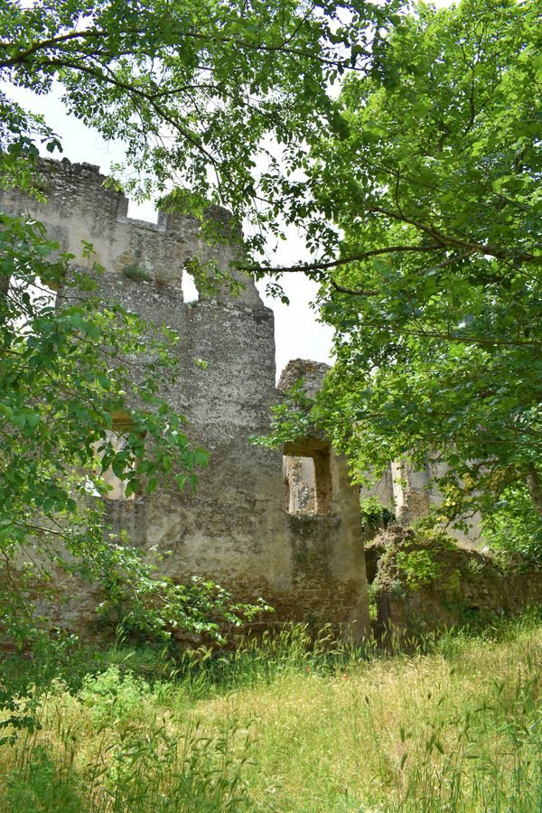 Overgrown stone walls and window openings among trees in the ghost town of Antica Monterano, Lazio, Italy.