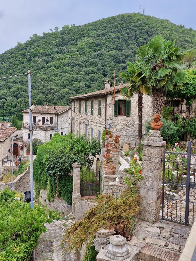 Stone houses with terracotta roofs and green window shutters along a steep street lined with potted plants, palm trees, and a forested mountain behind in the historic borgo of Arrone, Umbria, Italy.