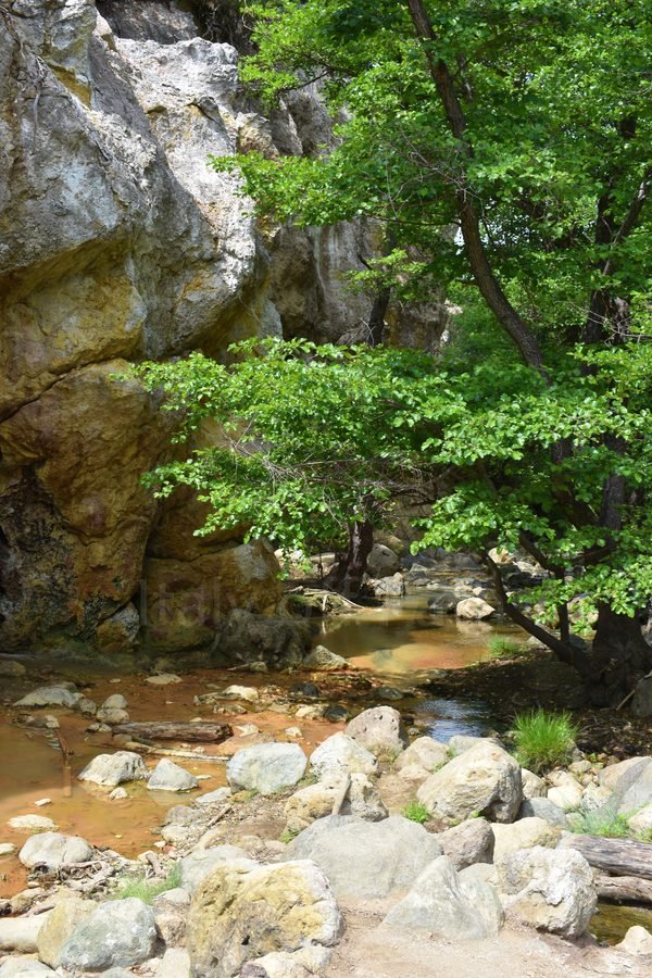 Sulfur stream flowing through rocky terrain and green trees near the ghost town of Antica Monterano, Lazio, Italy.
