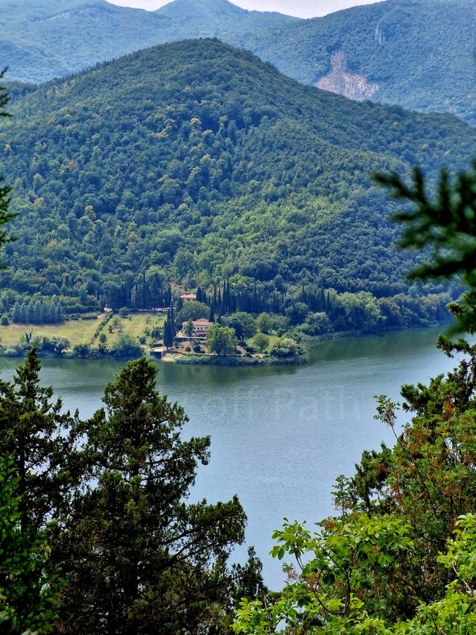 Elevated view of Lake Piediluco framed by tree branches, showing a house on the opposite shore backed by dense, green forested hills in Umbria, Italy.
