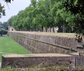 A long, historic red-brick fortification wall in Lucca, Italy, covered with patches of moss and dry grass along its ledge. The top of the wide wall is lined with a row of mature, leafy green trees forming a promenade, with a large, flat green lawn extending along the base on the left under an overcast sky.