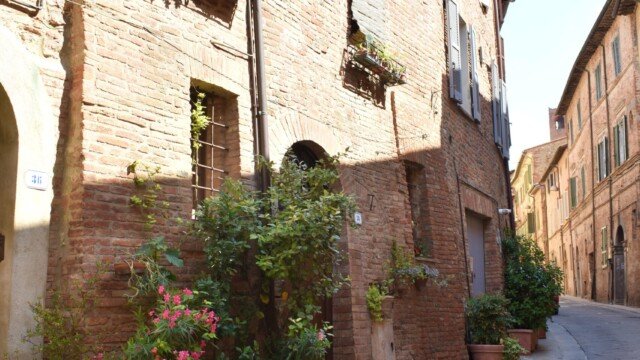 Red brick Renaissance houses with potted oleanders along a paved, curved street in Urbino.