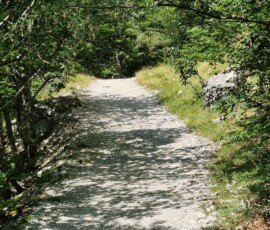 Sun-dappled gravel trail bordered by green trees leading toward Cascata Rio Arno near Prati di Tivo in Abruzzo, Italy