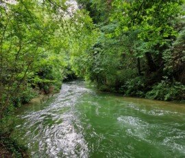 Clear green waters of the Nera River flowing beneath an overhanging forest canopy near Ponte del Toro, Umbria, Italy.