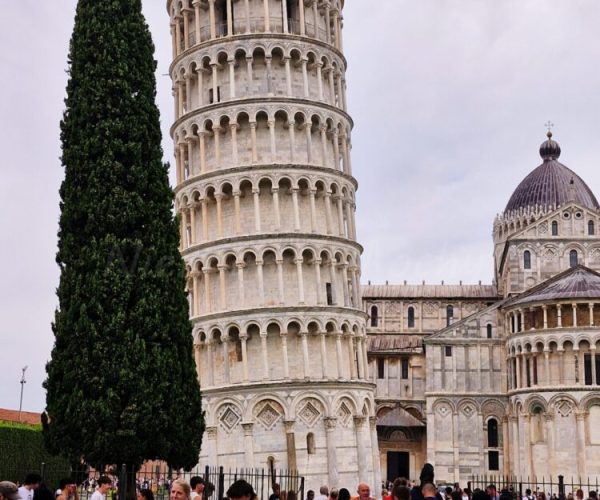 A tall, white leaning tower stands against the background of the cathedral, on one side there is a tall tree, and behind the tower there is a crowd of people spending a weekend break in Tuscany