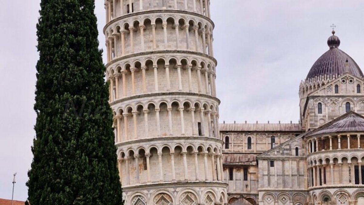 A tall, white leaning tower stands against the background of the cathedral, on one side there is a tall tree, and behind the tower there is a crowd of people spending a weekend break in Tuscany