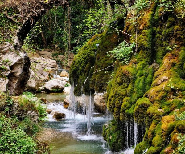 The river flows between the stones, plants grow on the banks, and an old stone bridge overgrown with greenery stands over the river. Easy hikes in Campania