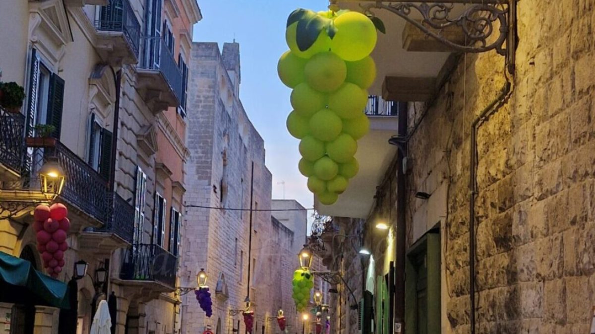 Festiwal wina Biscgelie