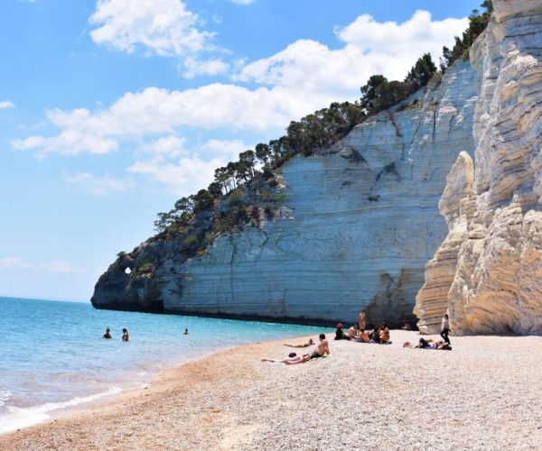 on a pebble Vignanotica Beach under a white cliff covered with trees, several people are sitting on a blanket, three more people are swimming in the blue sea, only their heads are visible