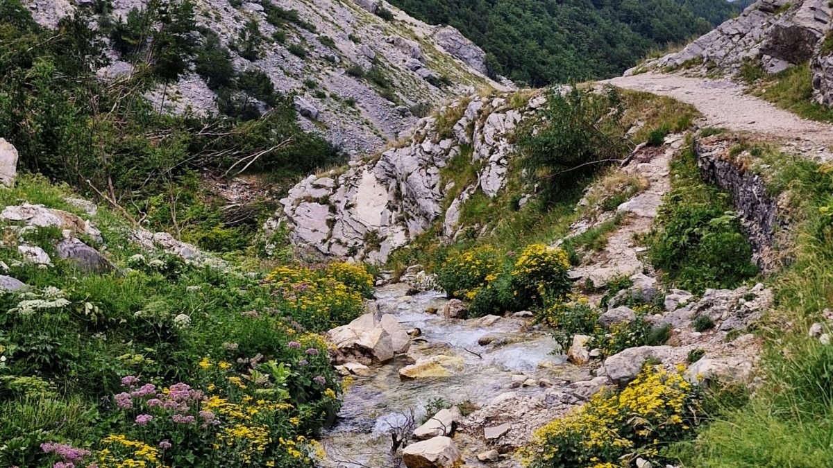 Rio Arno river flowing through a rocky mountain valley with wildflowers and an easy hike in Gran Sasso in Abruzzo, Italy